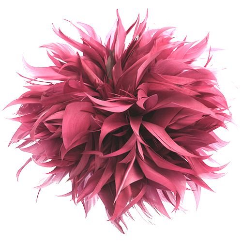 6.5 Inch Feather Applique Pink